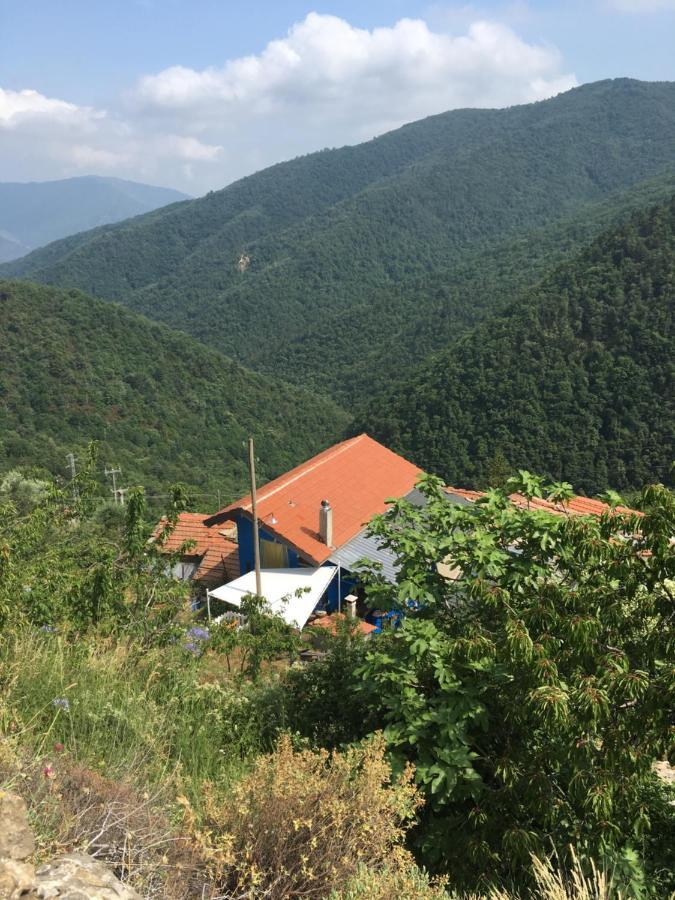Rural House Villa Vignai Kültér fotó